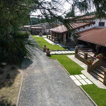 Agriturismo La Rombaia 卡斯蒂里昂纳·德拉佩 外观 照片